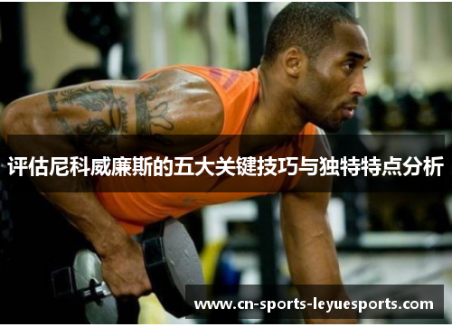 评估尼科威廉斯的五大关键技巧与独特特点分析
