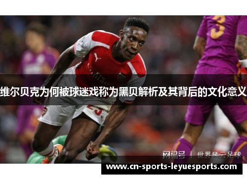 维尔贝克为何被球迷戏称为黑贝解析及其背后的文化意义