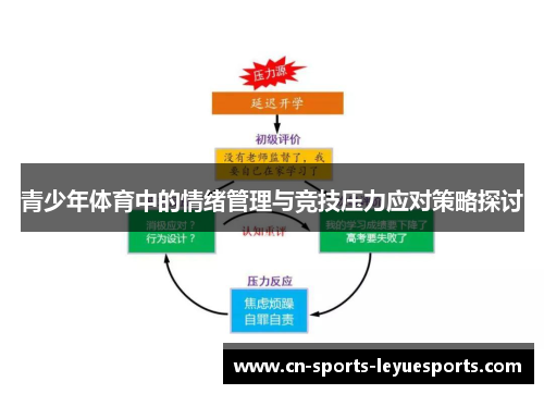 青少年体育中的情绪管理与竞技压力应对策略探讨