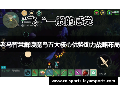 老马智慧解读魔鸟五大核心优势助力战略布局