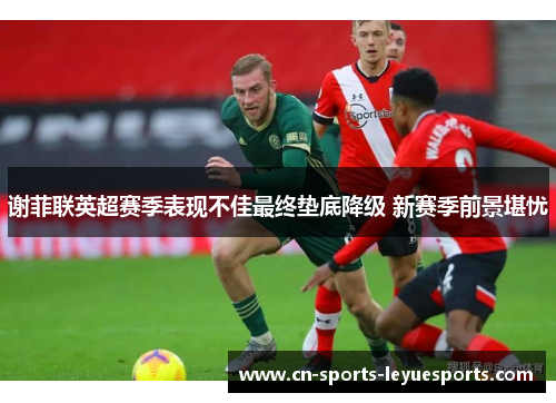 谢菲联英超赛季表现不佳最终垫底降级 新赛季前景堪忧 谢菲联英超赛季表现不佳最终垫底降级 新赛季前景堪忧